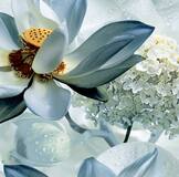 клеенка стол.Grace ткань с пвх покрытием 1.37*20м