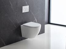 Подвесной унитаз безободковый Terminus Аврора Monolit 495х360 белый