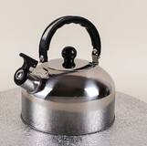 Чайник Grace 2л черная ручка GR-CKS-4120