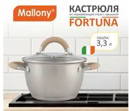Кастрюля Fortuna, объем 1,8 л, из нерж стали с крышкой, матовый корпус, ручки с силиконом
